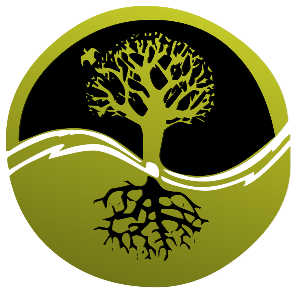 arbol de problemas