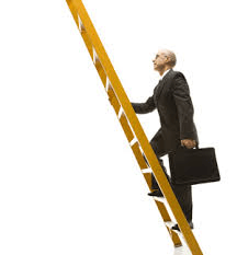 gerente de proyectos